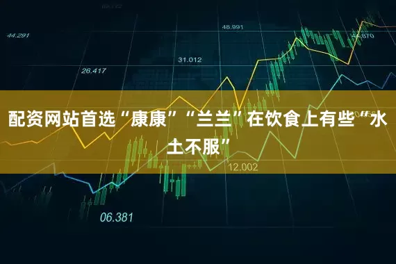 配资网站首选“康康”“兰兰”在饮食上有些“水土不服”