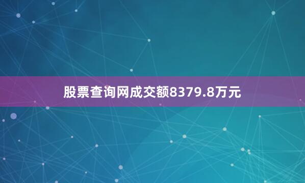 股票查询网成交额8379.8万元