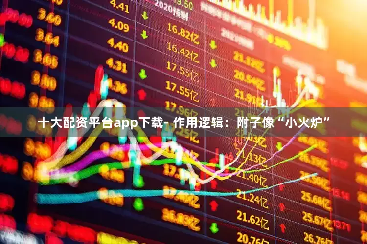 十大配资平台app下载- 作用逻辑：附子像“小火炉”