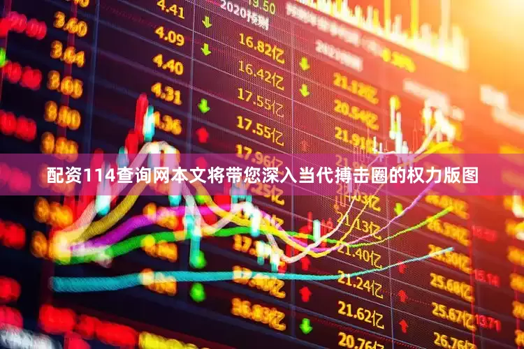 配资114查询网本文将带您深入当代搏击圈的权力版图