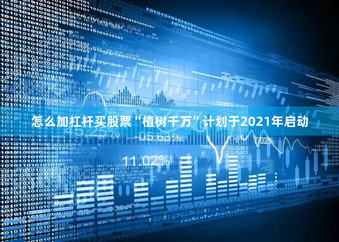 怎么加杠杆买股票“植树千万”计划于2021年启动